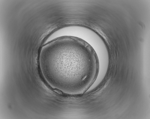 X0000115150585200911101731