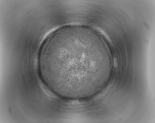 X0000115150588200911101731