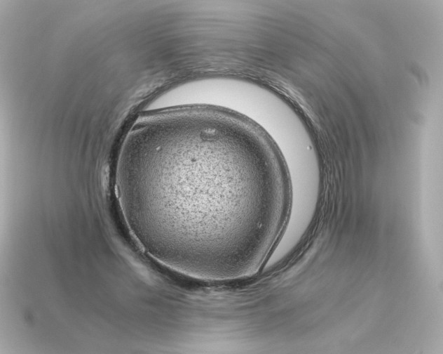 X0000115150589200911101731