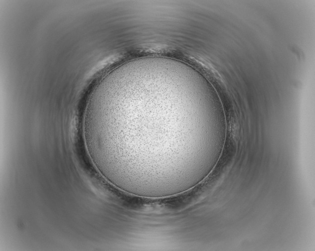 X0000115150591200911101731