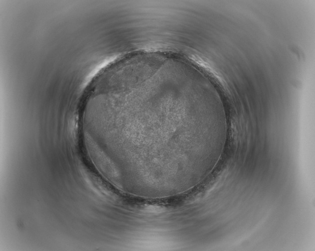 X0000115150592200911101731