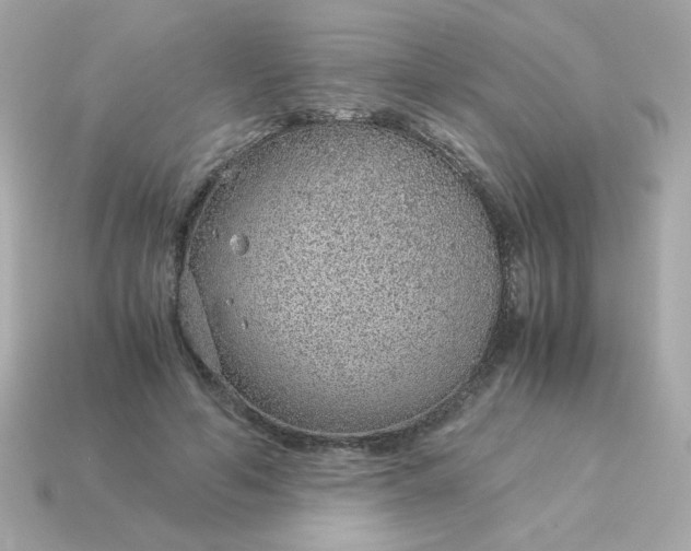X0000115150594200911101731