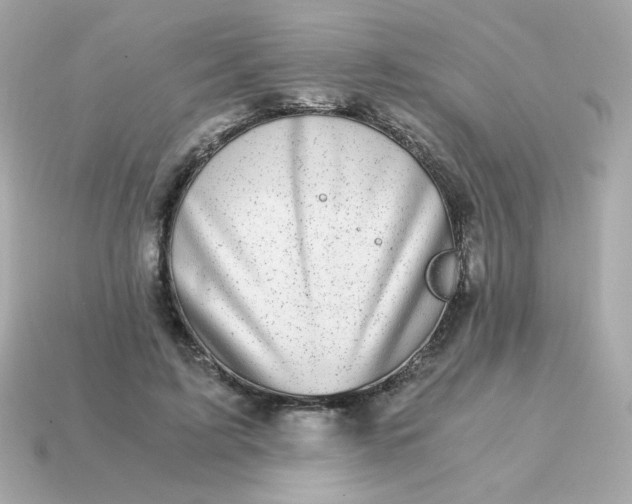 X0000115150595200911101731
