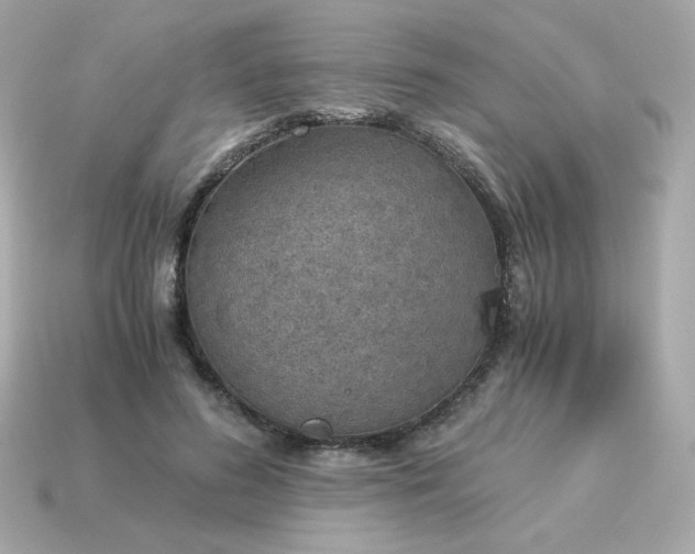 X0000115150596200911101730