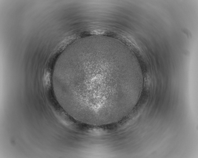 X0000115150598200911101730