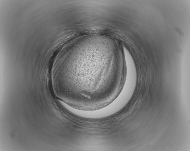 X0000115150599200911101730