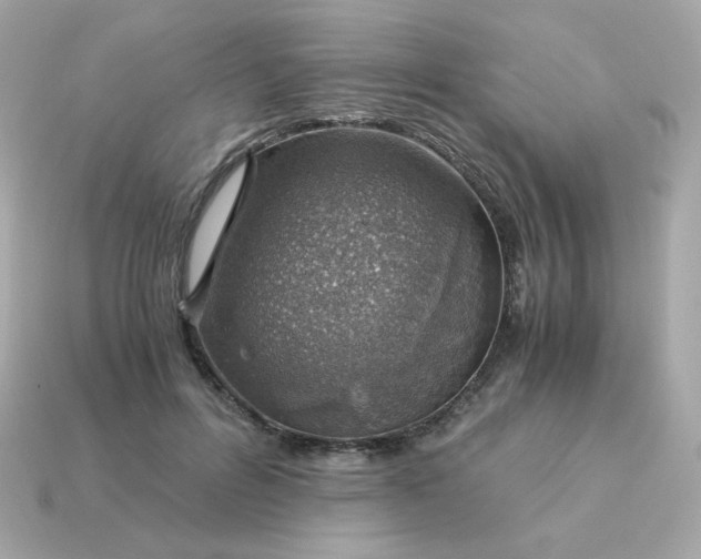 X0000115150600200911101730