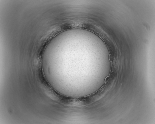 X0000115150601200911101730