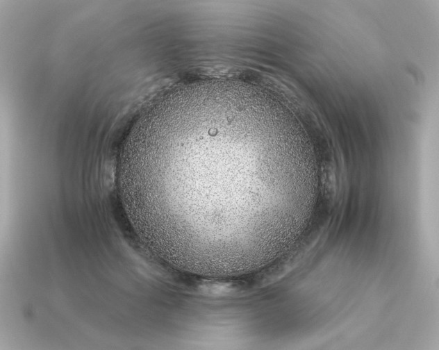 X0000115150602200911101730