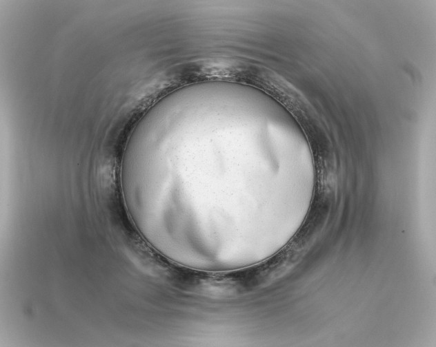 X0000115150603200911101730