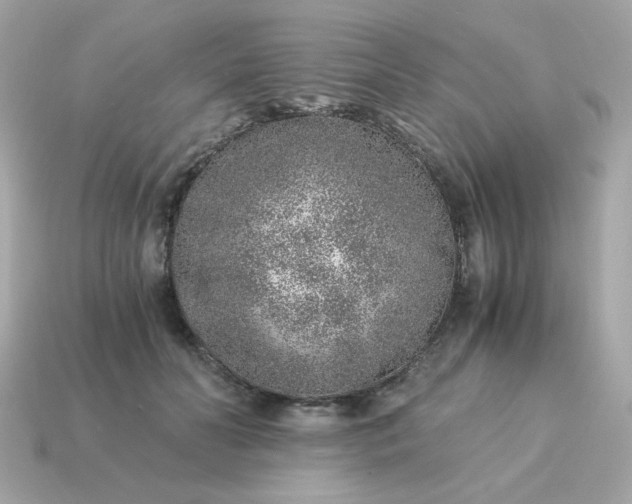 X0000115150606200911101730