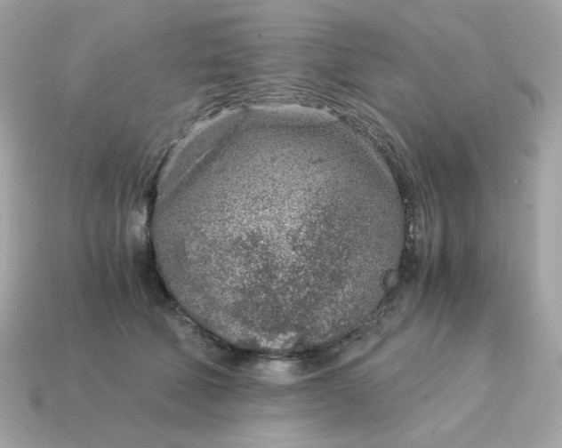 X0000115150610200911101730