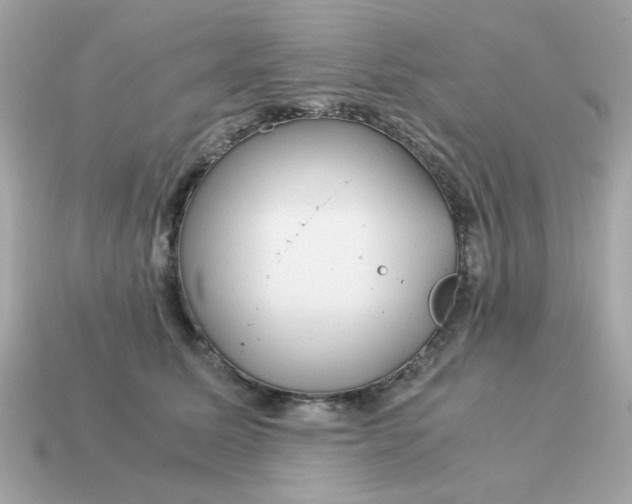 X0000115150611200911101730