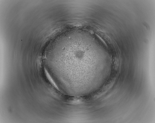 X0000115150612200911101730