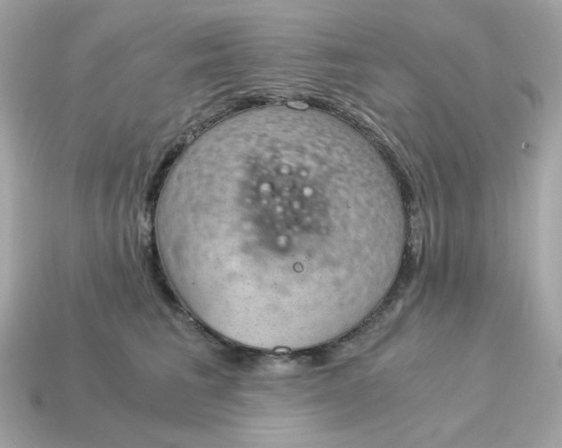 X0000115150613200911101730