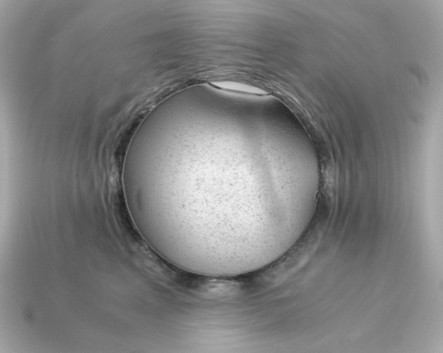 X0000115150617200911101730