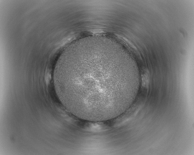 X0000115150618200911101730