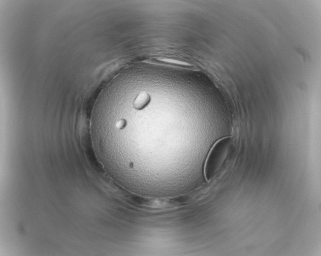 X0000115150623200911101730