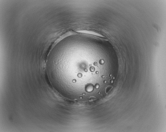 X0000115150624200911101730