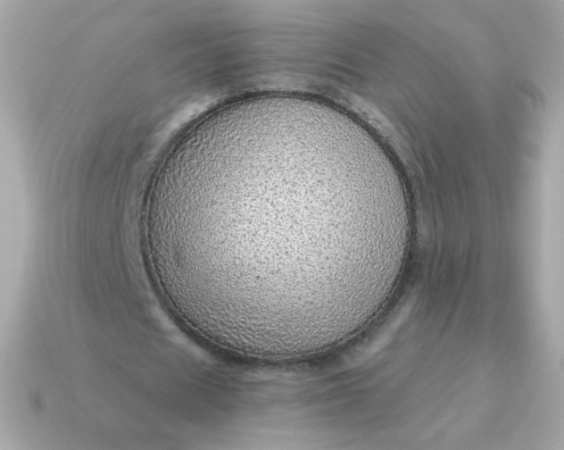 X0000115150625200911101729