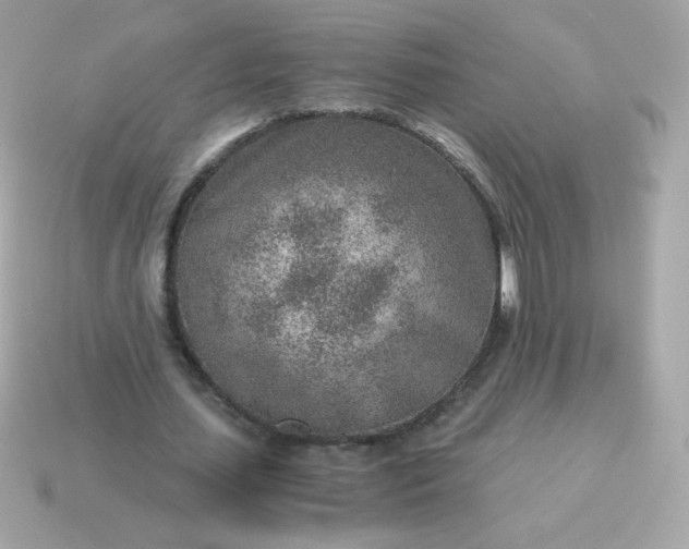 X0000115150627200911101729