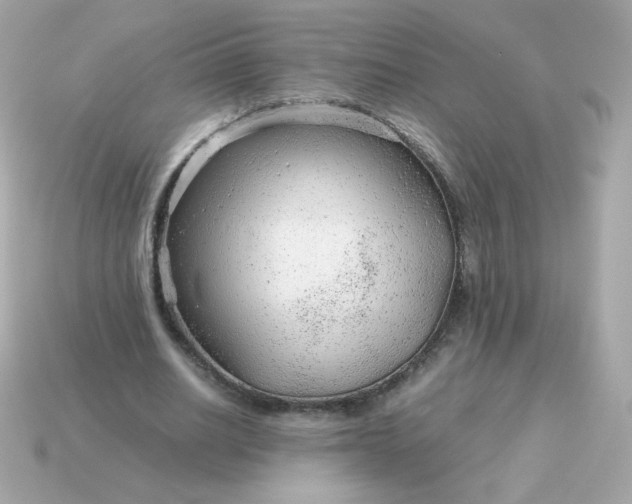 X0000115150630200911101729
