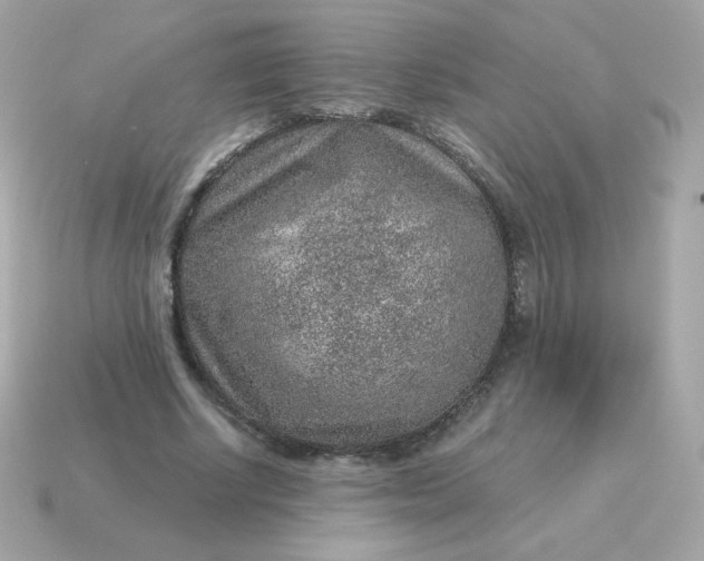 X0000115150634200911101729