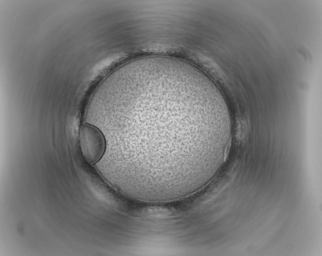 X0000115150636200911101729
