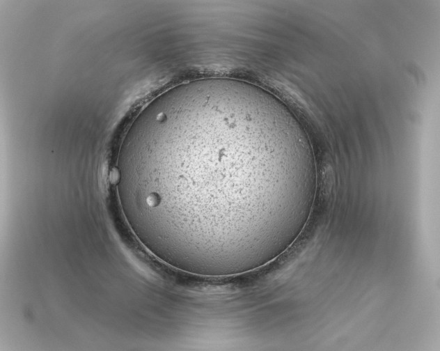 X0000115150638200911101730