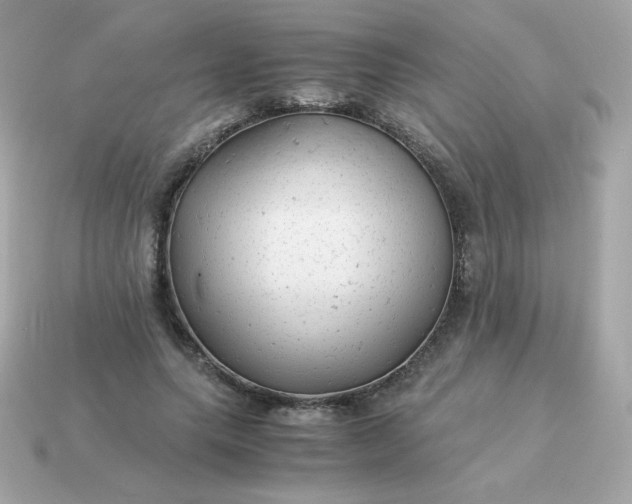 X0000115150639200911101730