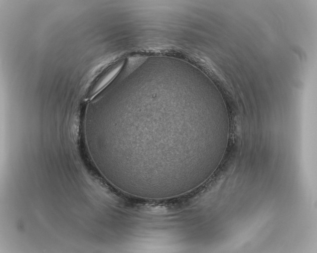 X0000115150640200911101730