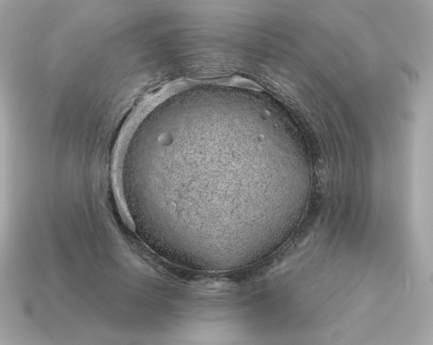 X0000115150642200911101730