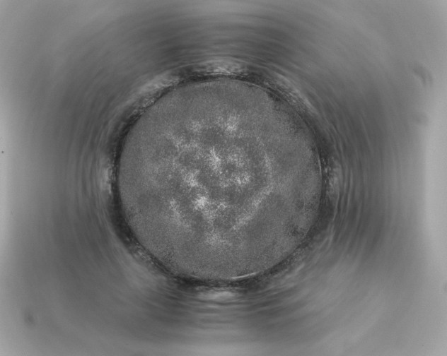 X0000115150643200911101730