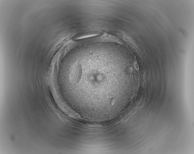 X0000115150644200911101730