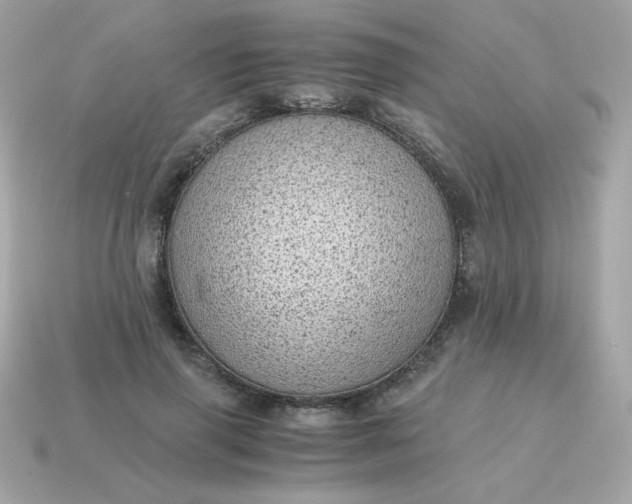 X0000115150645200911101730