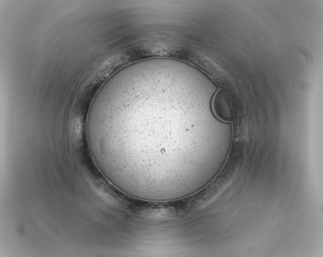 X0000115150646200911101730