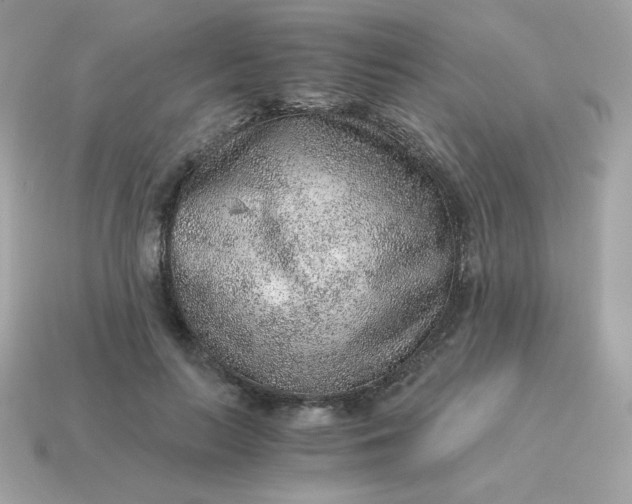 X0000115150647200911101730