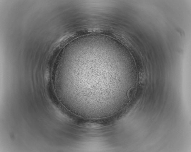 X0000115150648200911101730