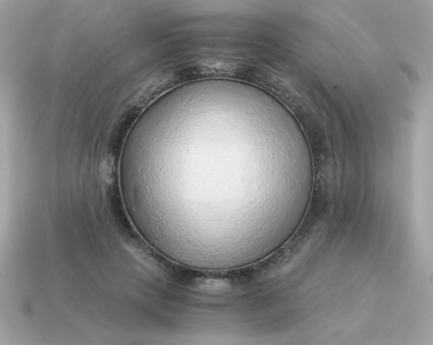 X0000115150649200911101730