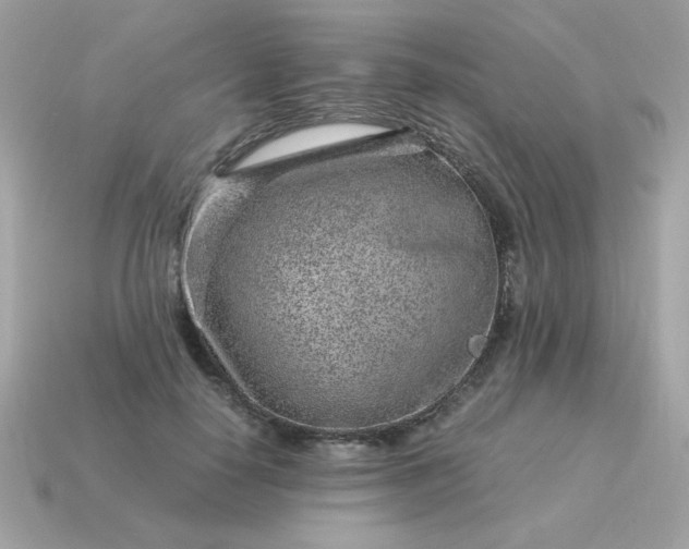 X0000115150650200911101730