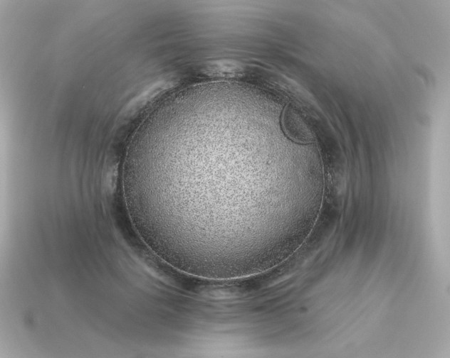 X0000115150652200911101730