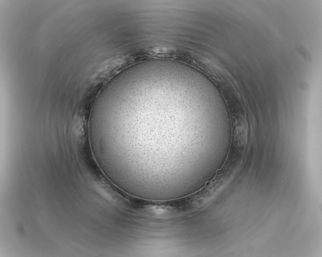 X0000115150654200911101730