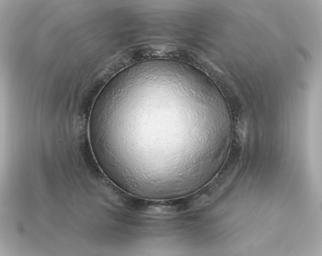 X0000115150657200911101730