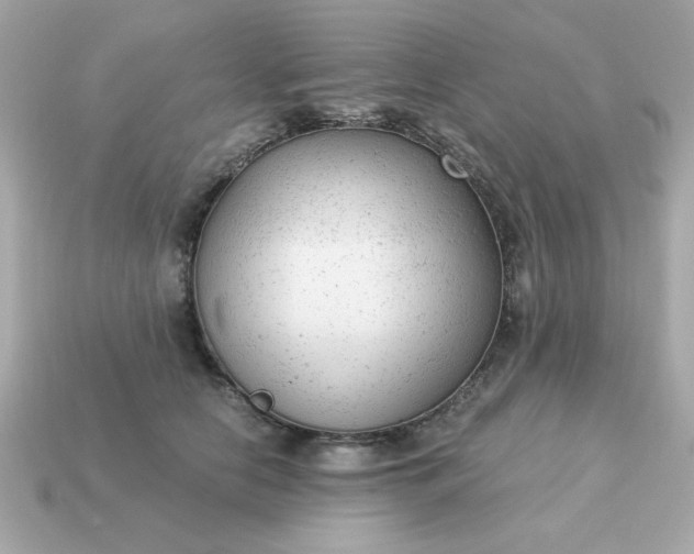 X0000115150658200911101730