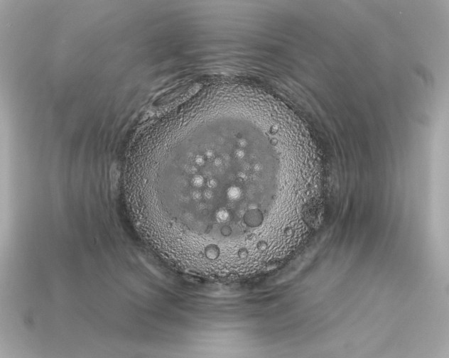X0000115150660200911101730