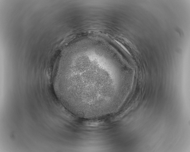 X0000115150661200911101730