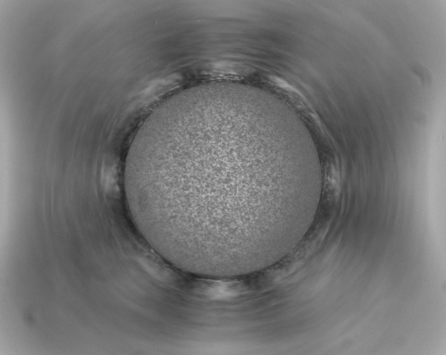 X0000115150663200911101730