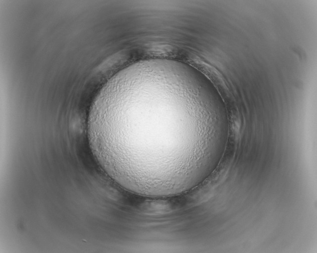 X0000115150665200911101730