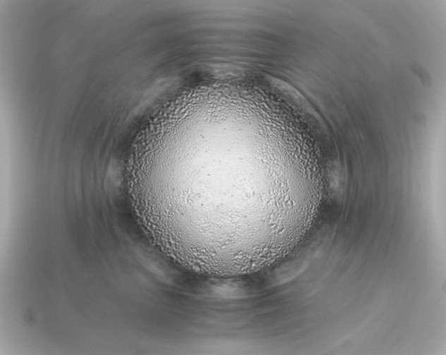 X0000115150667200911101730