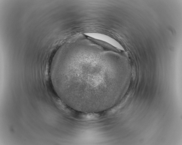 X0000115150670200911101730